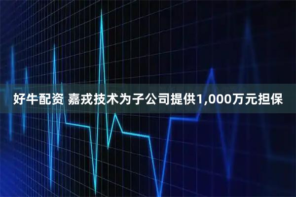 好牛配资 嘉戎技术为子公司提供1,000万元担保