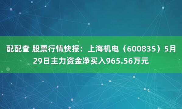 配配查 股票行情快报：上海机电（600835）5月29日主力资金净买入965.56万元