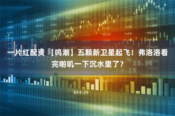 一片红配资 【鸣潮】五颗新卫星起飞！弗洛洛看完啪叽一下沉水里了？