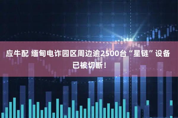 应牛配 缅甸电诈园区周边逾2500台“星链”设备 已被切断！
